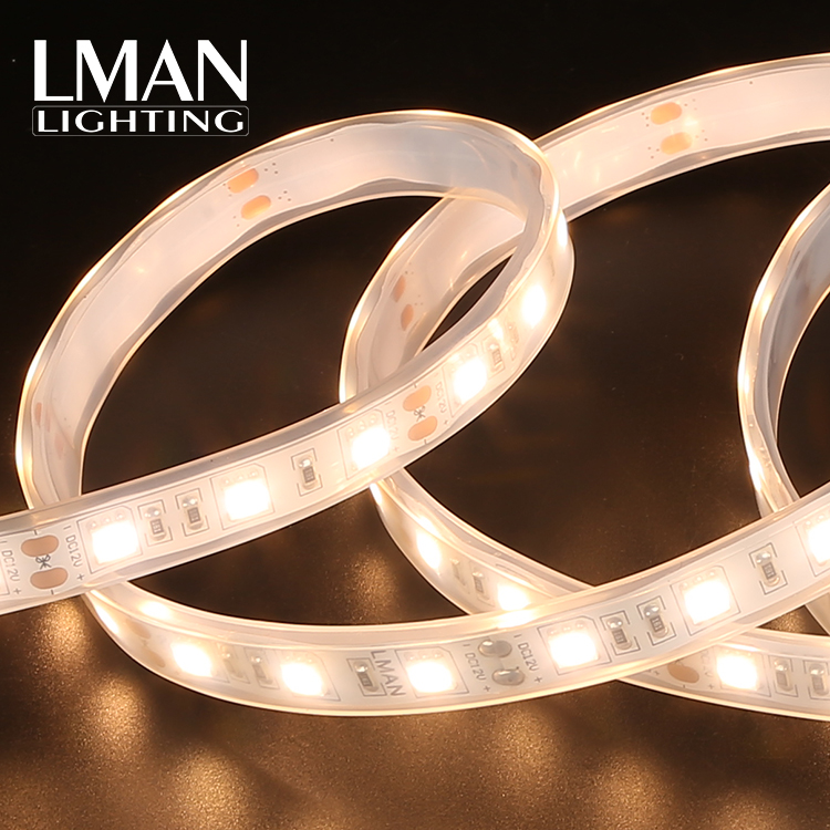Высокая яркость SMD 5050 60led 12V 24V Открытый водонепроницаемый IP65 гибкий гибкая светодиодная лента