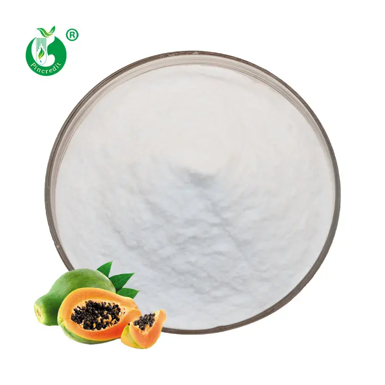 Pincredit Supply Papaya Stem Extract Powder Bulk Organic Papain Enzyme