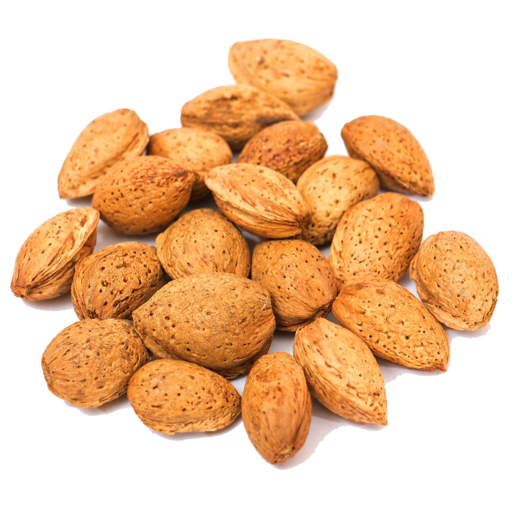 Wholesale supply a large number high-quality nut food shelled almonds