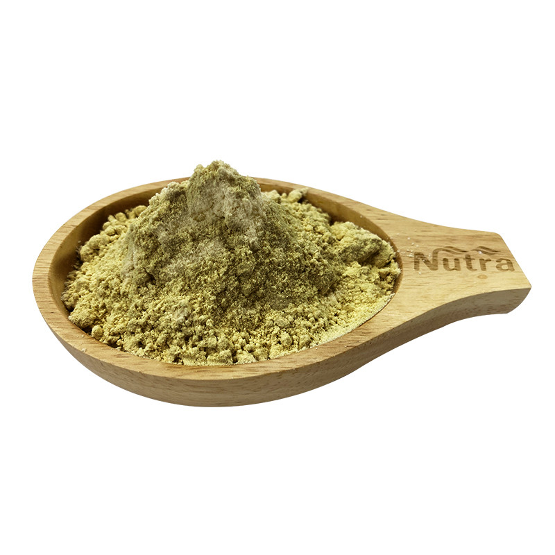 High quality sunflower seed protein powder sunflower kernels protein