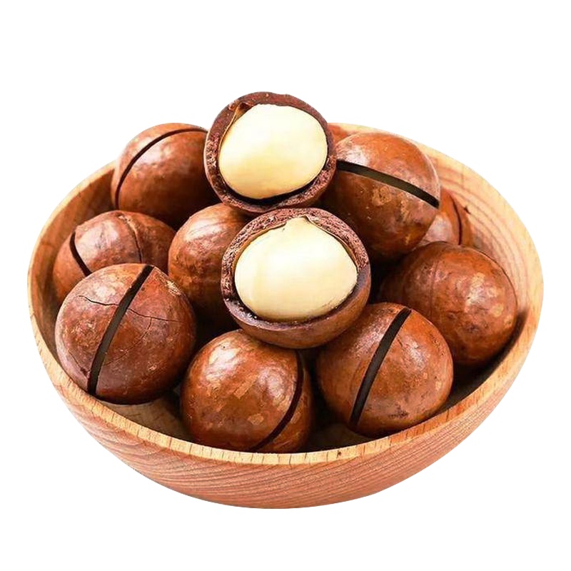 Китайская фабрика OEM, оптовая продажа орехов Maccadamia, необработанная Здоровая пища Macca в скорлупе