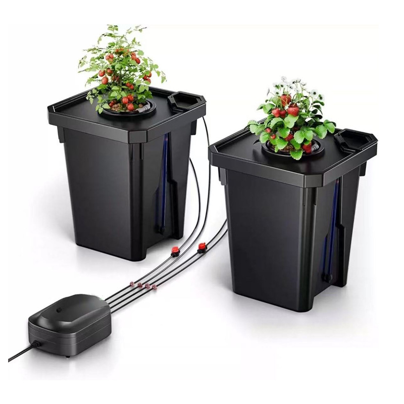 Meijiu Premium Greenhouse Dutch Bato Bucket Hydroponic Growing System for Tomato & Cucumber