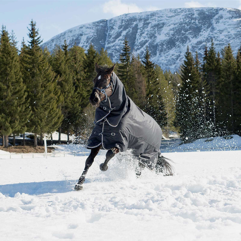 Зимние коврики Equine для лошадей, водонепроницаемый дышащий ковер для лошадей, оборудование для лошадей, товары для конного спорта, ветрозащитное одеяло, листы для отдыха