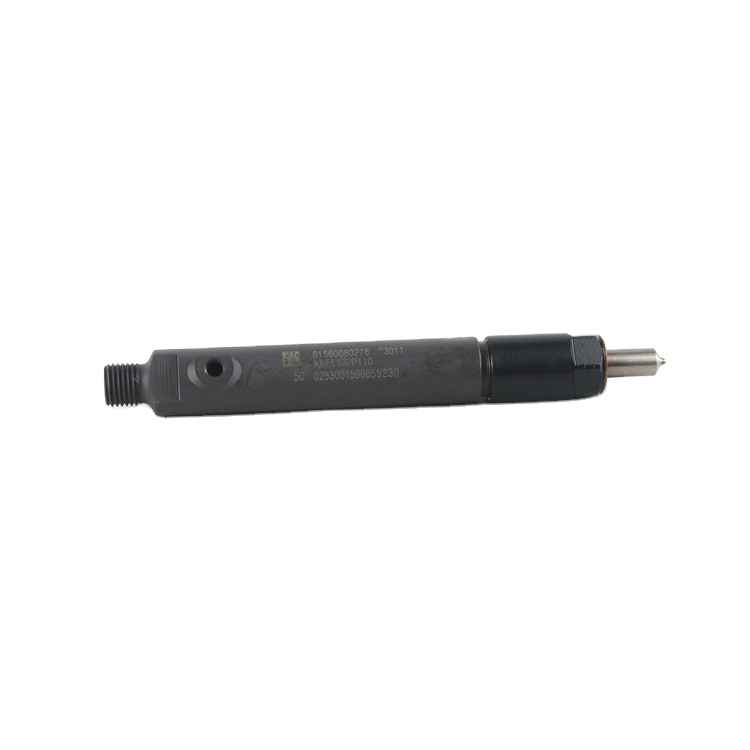 Дизельный топливный инжектор Sinotruk WD615 61560080276 KBEL132P110
