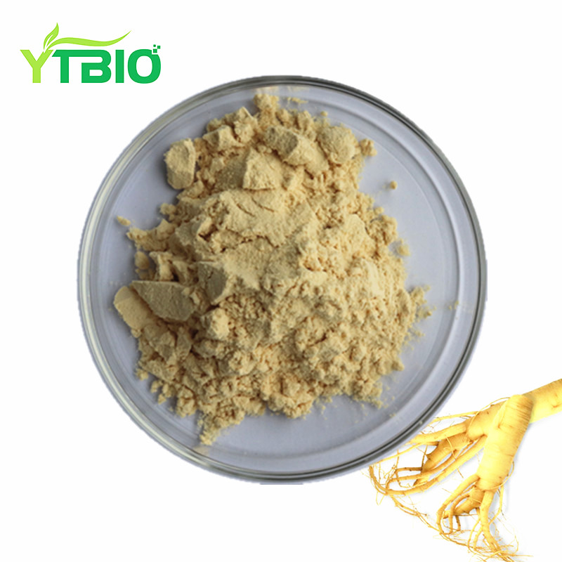 Best Selling Ginseng Root Extract 5-80% Ginsenoside  HPLC UV  powder