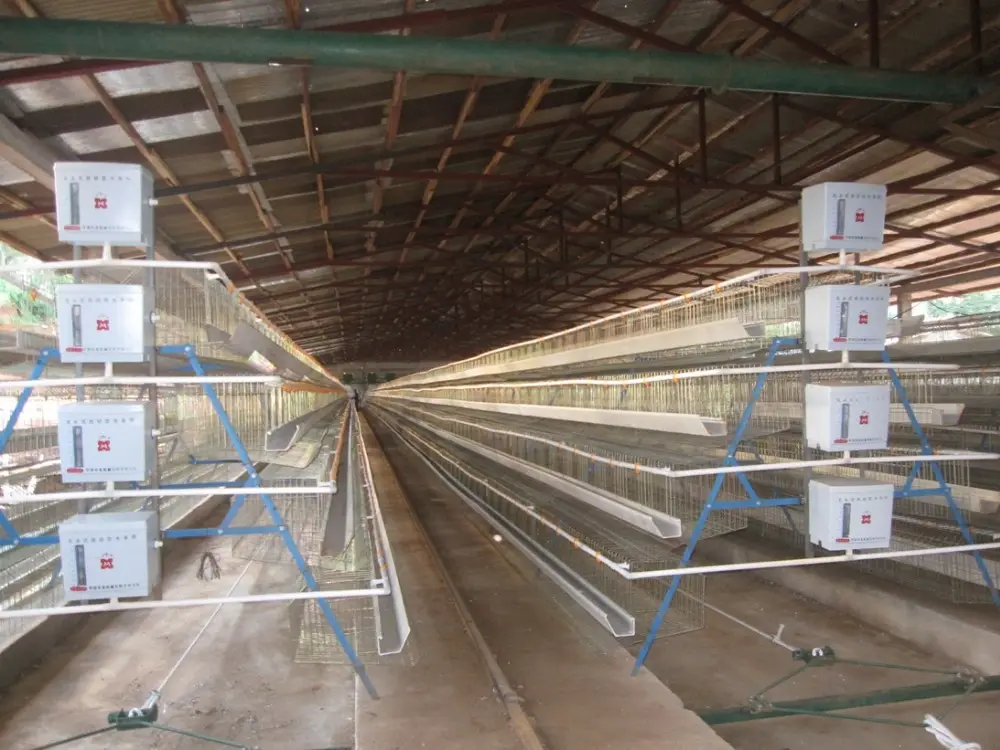 High Quality Sow Farm Galvanized Cage Farrowing Crate Farrowing Stall Animal Cages In Pig Farm Farrowing House For Pig
