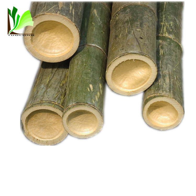 Construction Material Treated Raw Bamboo Poles