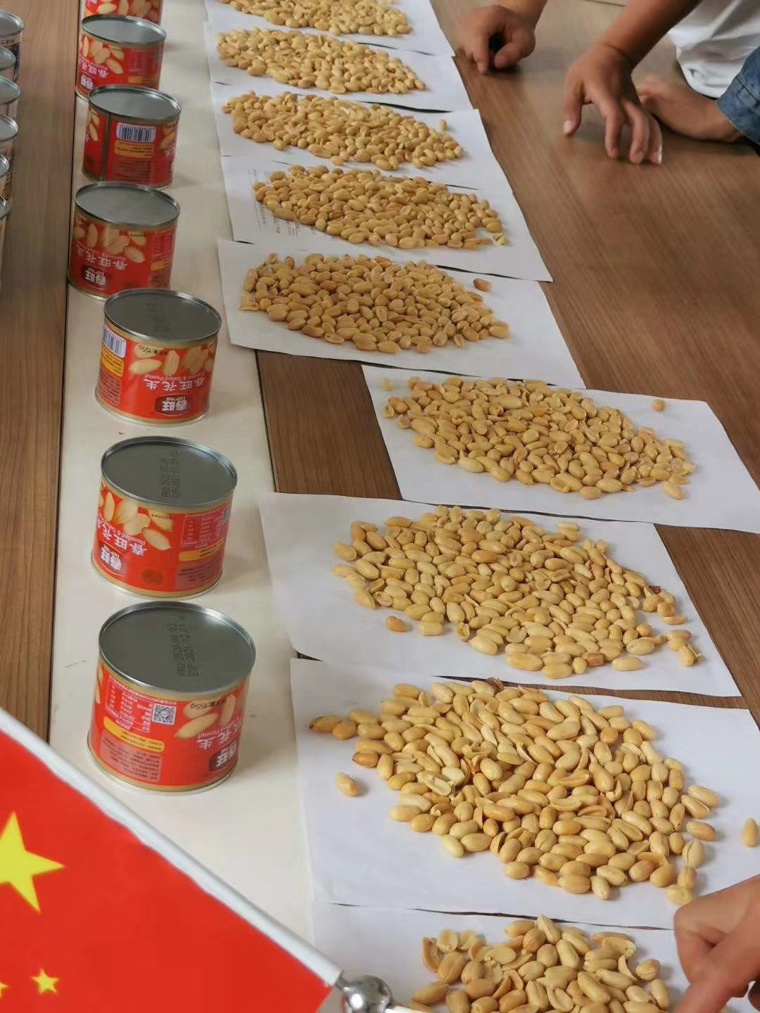 1 Top Sales Peanuts Food Roasted And Salted Peanuts From Shandong 34/38 Size Canned Style Packaging Food Snack
