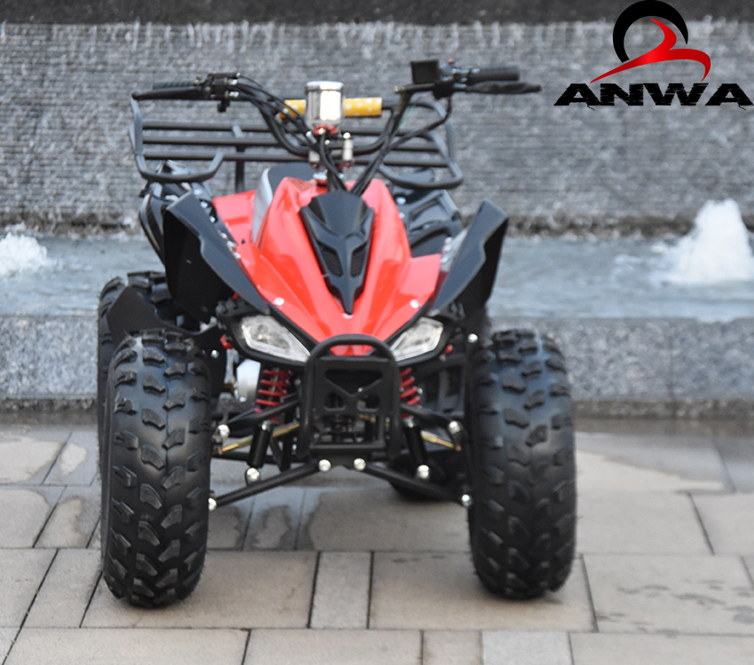 Горячее надувательство 110 CC квадроцикл бензин ATV, способный преодолевать Броды для взрослых