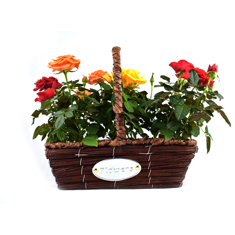 Factory Custom Size Storage Basket Wicker Flower Basket Home Decoration Flower Basket