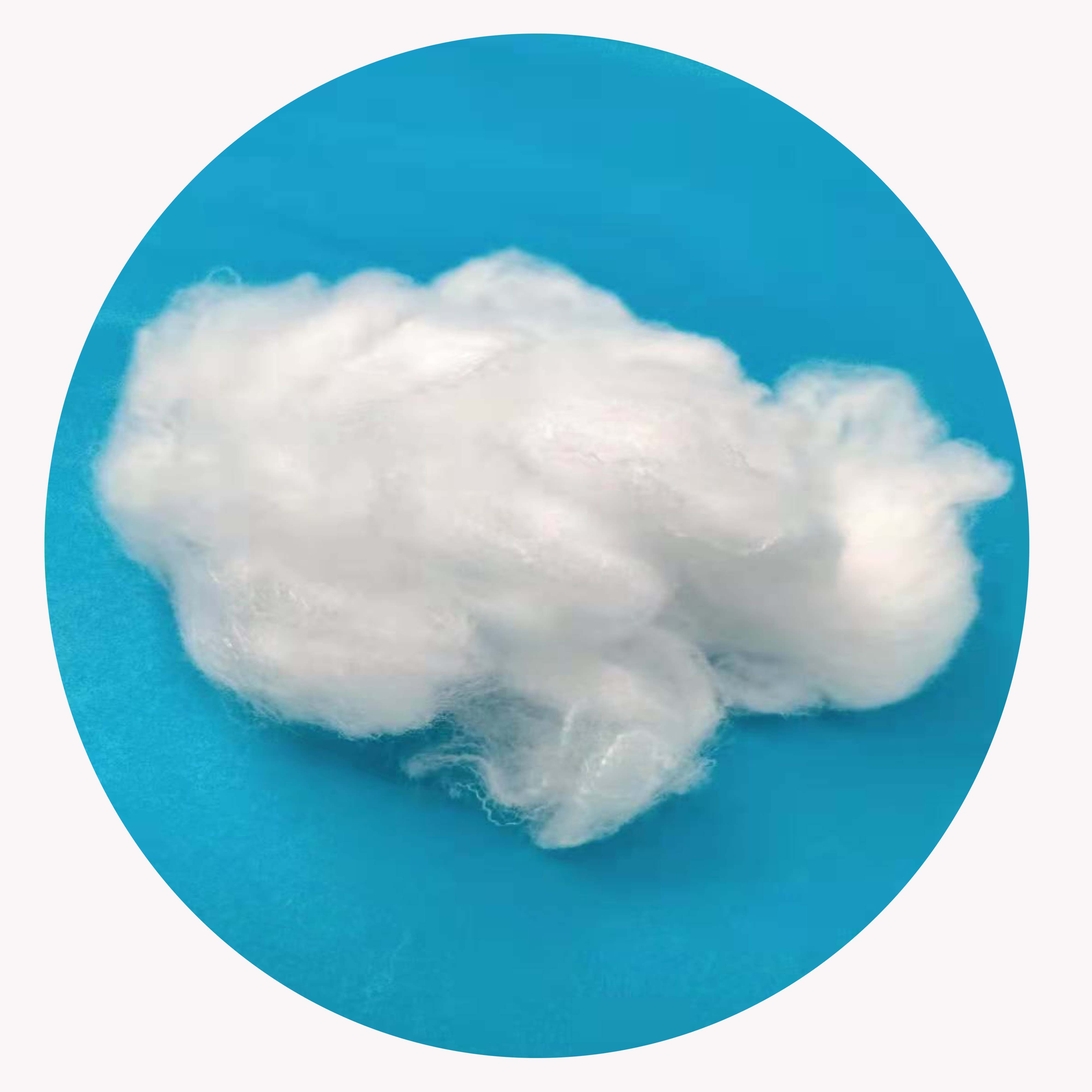 Raw White Nylon 6 Staple fiber