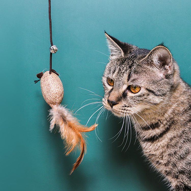 Feather Bells Tease Cat Stick Linen Gift Set Cat Mouse Teaser Toys For Indoor Cats