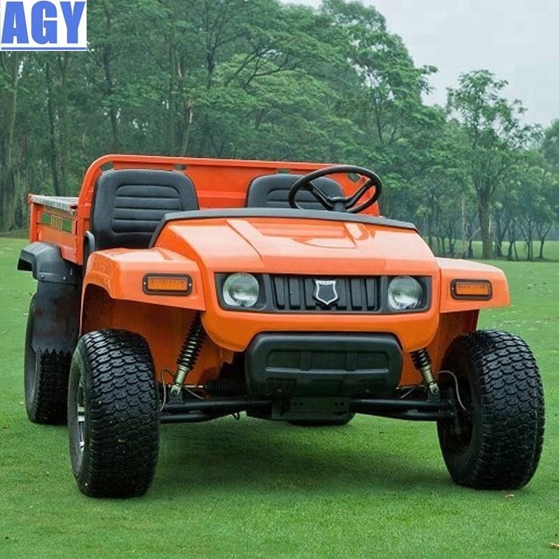 AGY батарея зарядное устройство 48 в all terrain электрический автомобиль ac двигатель 5kw
