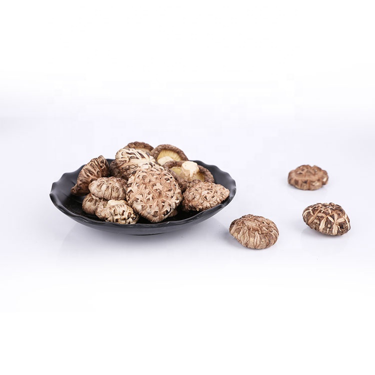 3-5cm high quality shiitake mushrooms bulk shiitake mushrooms champignon