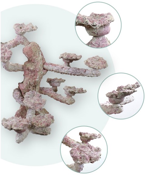 Factory Direct Porous Aquascaping Rock for Reef aquarium decoration ZAR2002