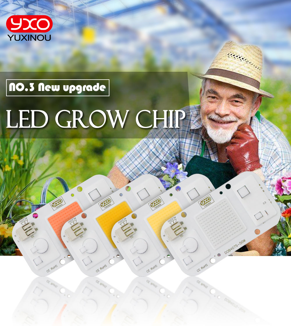 Full Spectrum Led Cob Epistar Cxb 3590 Cob Led Light Chip 220V Chipe Led Cob 240V Led Chip