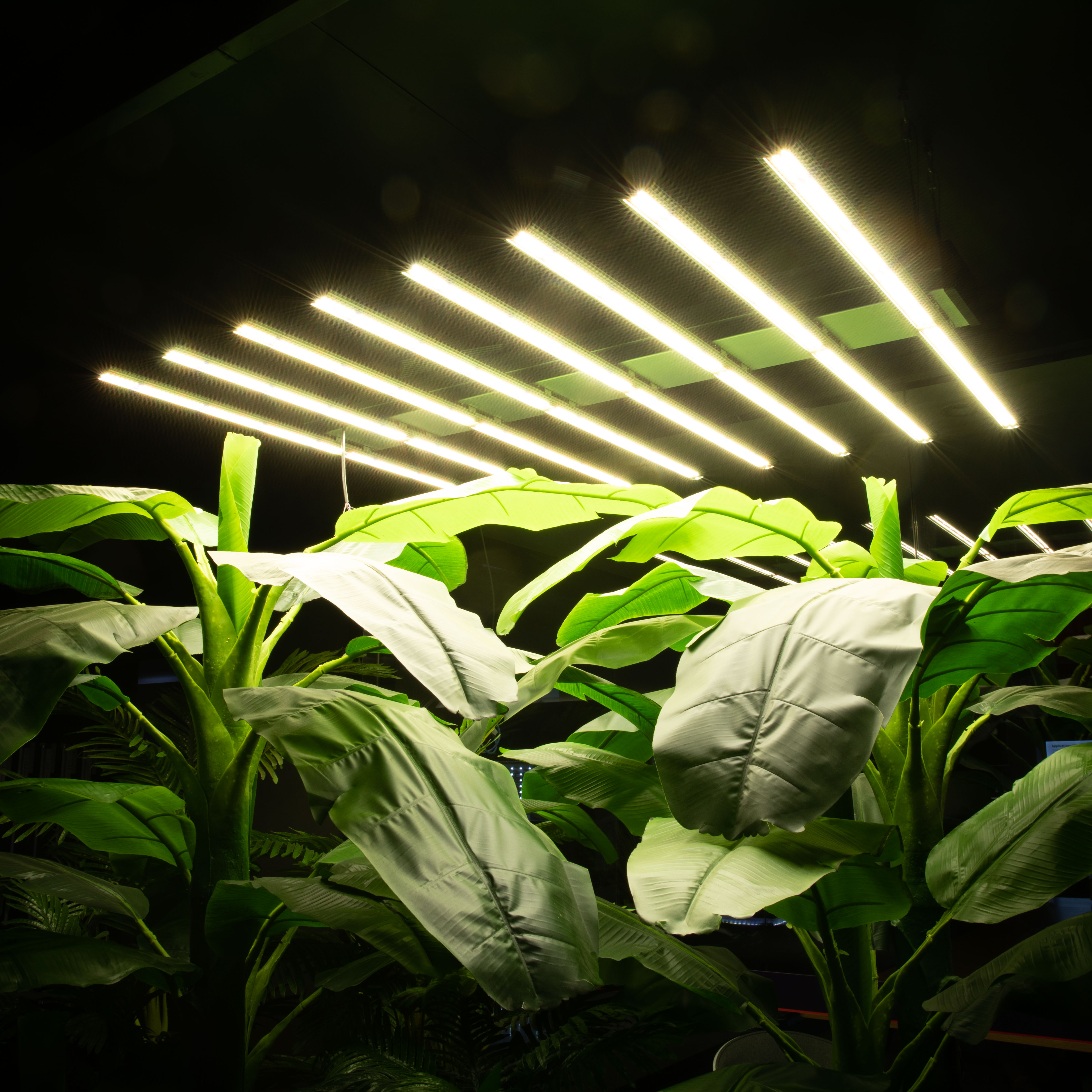 Greenhouse ETL CERTIFICATE Spider led hydroponic High EFF 640w 860w 1000w full spectrum led plant grow lights for indoor plants