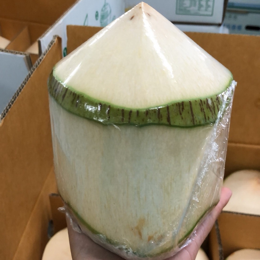 Thai Young Coconut