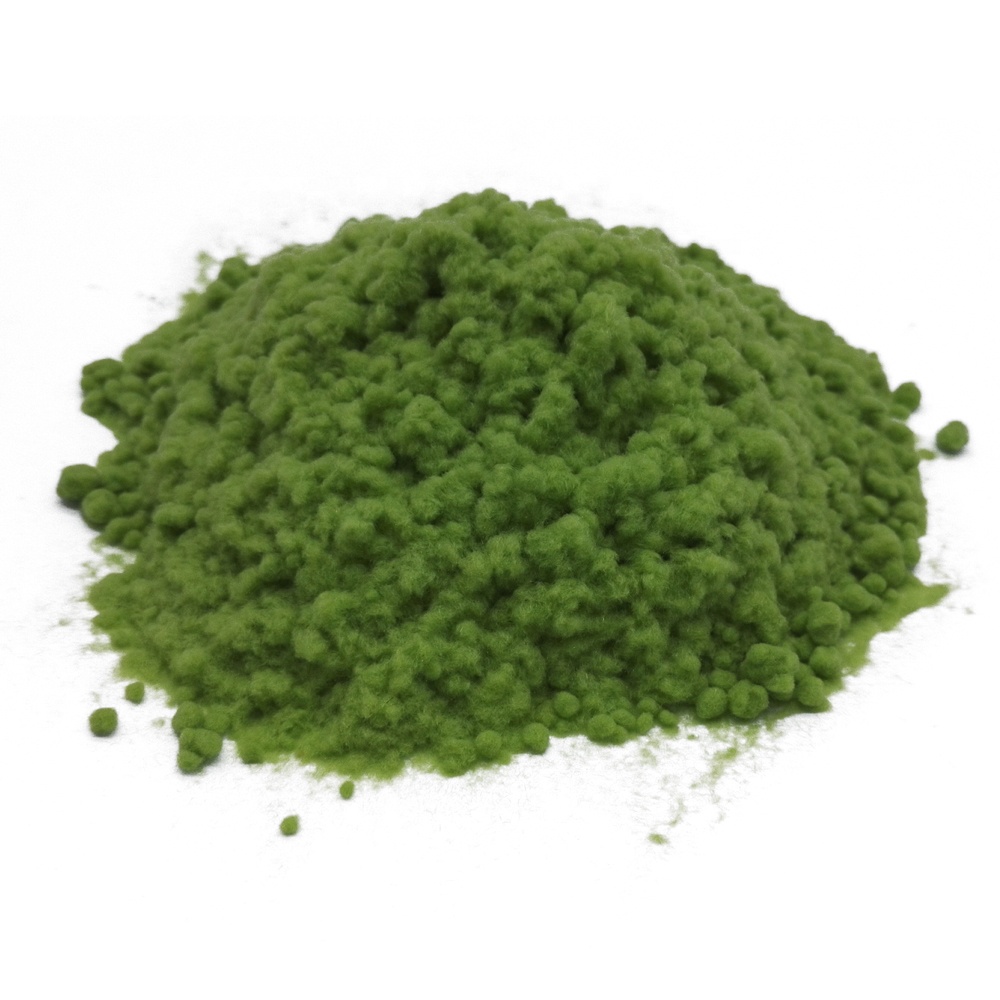 Green 1mm Nylon Flocking Powder for Miniature House Grass