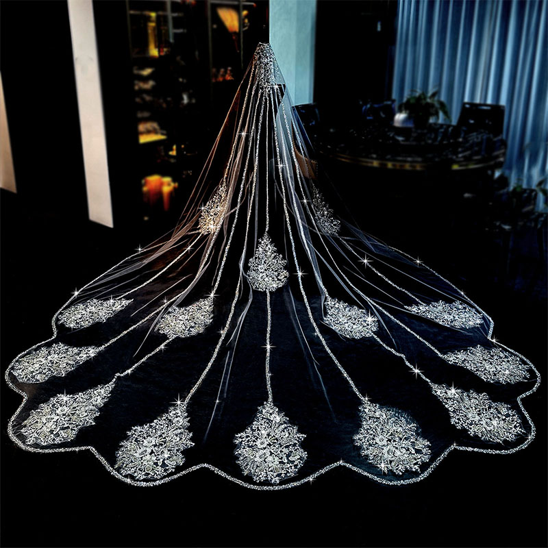 Feishiluo Luxury Sequin Pear Bead Lace Long Tail Bridal Wedding Veil l With Hair Comb One Layer Bridal Veils For Women