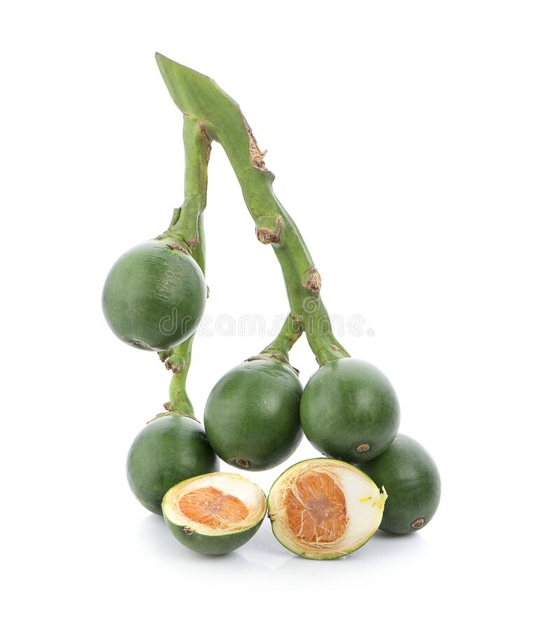 [Новинка 2022] оптовая продажа свежих орехов Betel из Вьетнама высокого качества и по хорошей цене