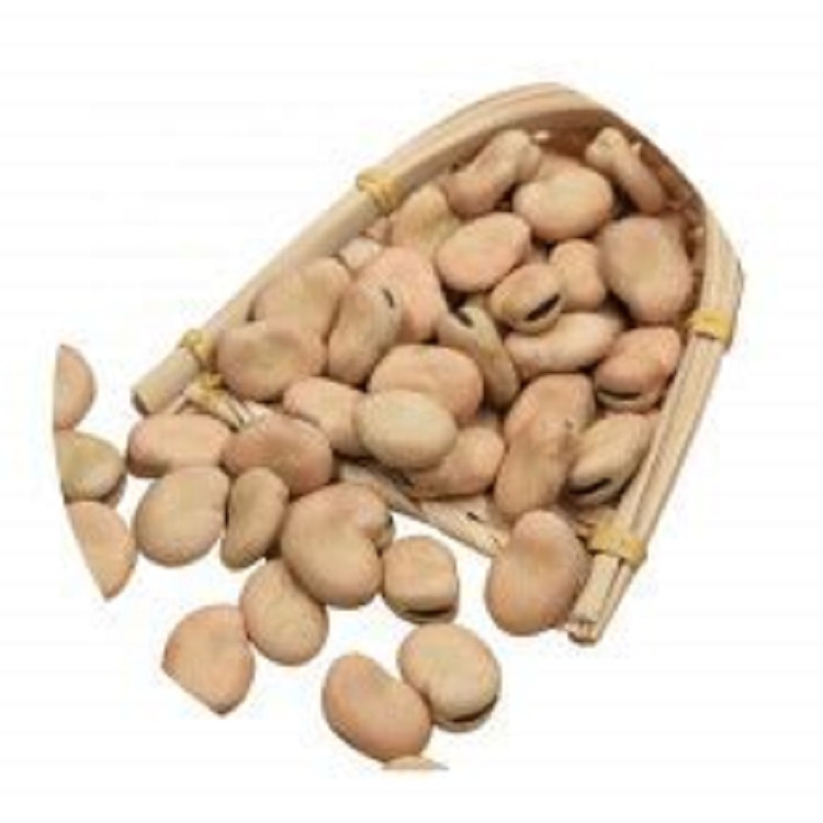 Лучшая цена на широкие/фасовые бобы, оригинальный Gansu & Qinghai NEW CROP2020