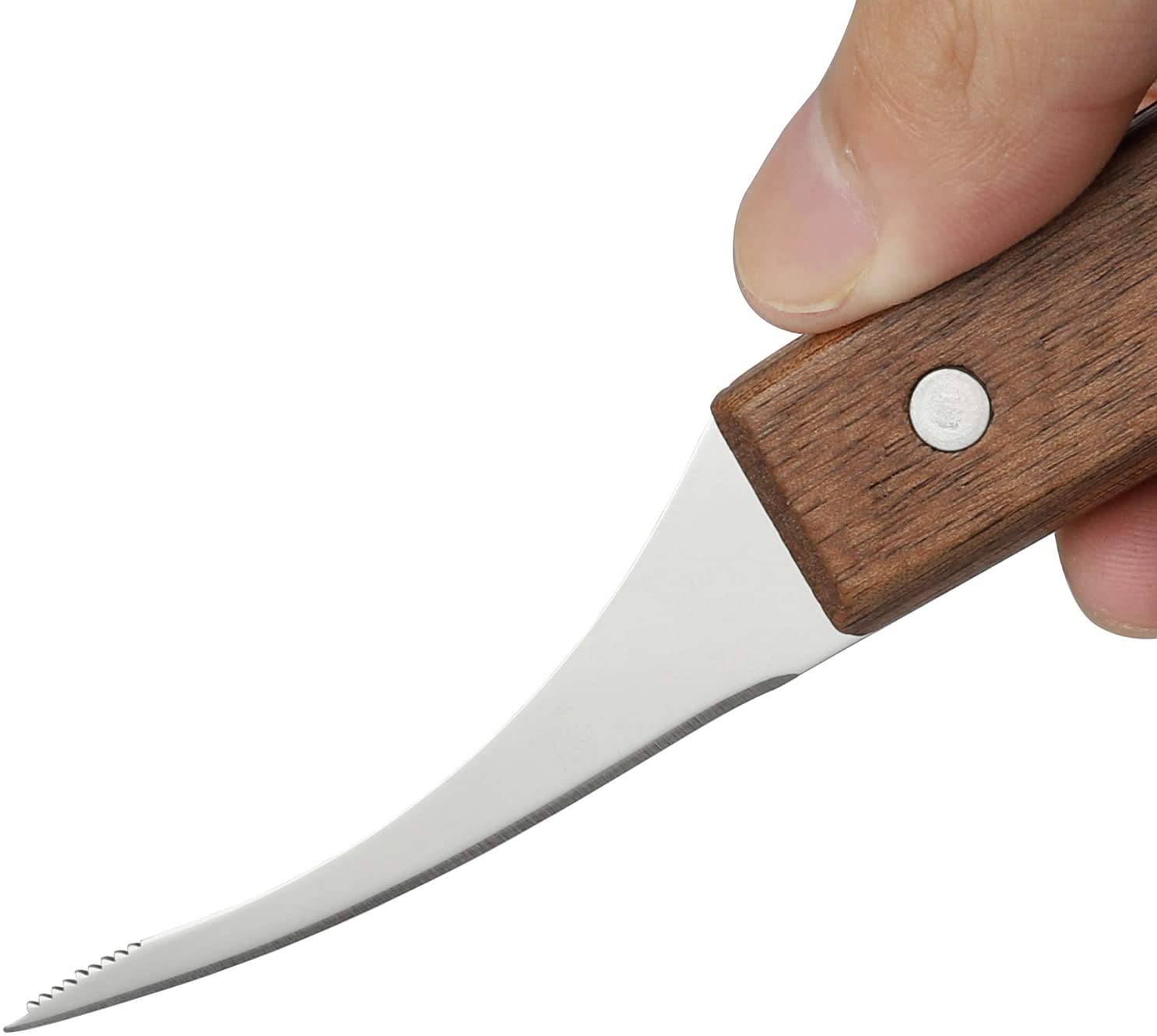 Wholesale Wooden Stainless Steel Shrimp Knife Seafood Tool For Skinning Knives And Shrimp Knife