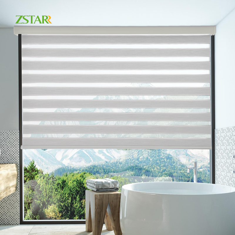 ZSTARR Customized Modern Rechargeable Electric motor Built-in Blackout Home decor Window Roller Shades Zebra Blinds for house