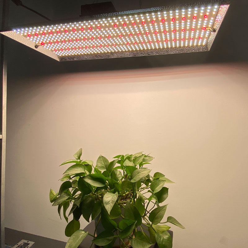 USA Stock lm301h 480w Indoor qb LED Grow Light uv Full Spectrum Hydroponic Samsung Lamp Cob Grow Lights for Indoor Plants