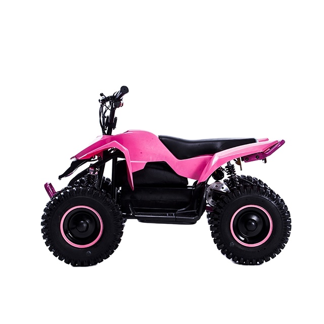 China most popular 36V 800W electric atv for kids quad bike
