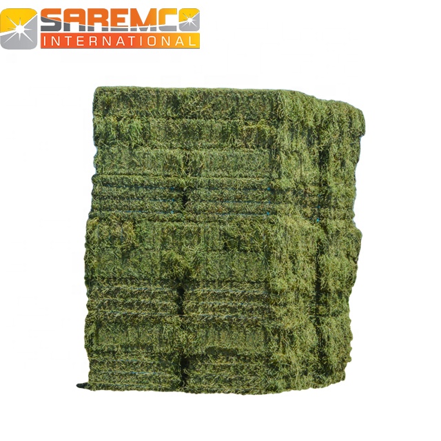 A grade Rhodes Grass hay big bales Export From Pakistan to all Gulf region