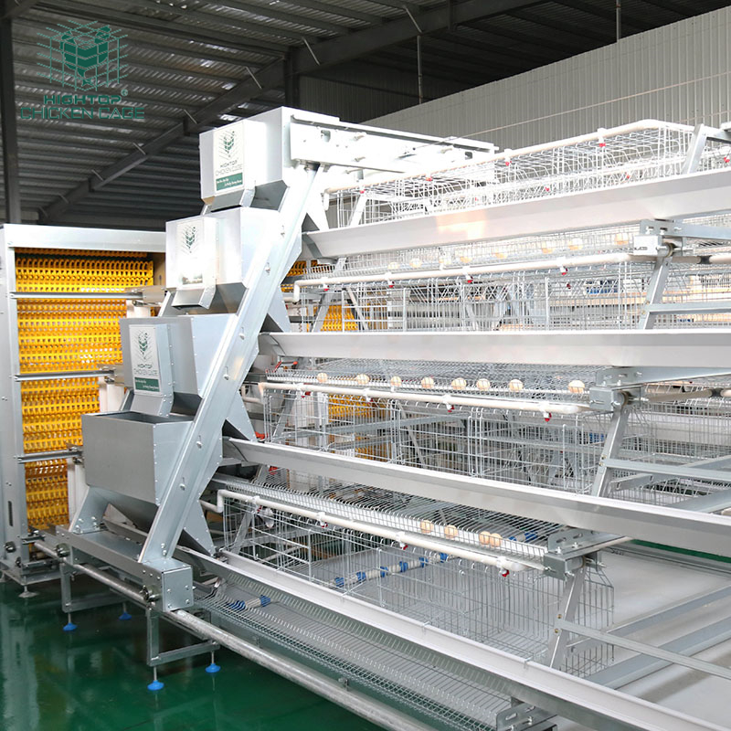 HIGHTOP Wholesale Automatic 4 Layer Battery Poultry Chicken Cage Chicken Layer Farming Equipment For Sale
