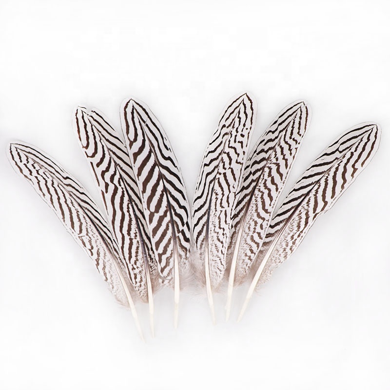 8-10 Inch(20-25 cm)High Quality Natural Patterned Silver Pheasant Wings Feather white color for pen