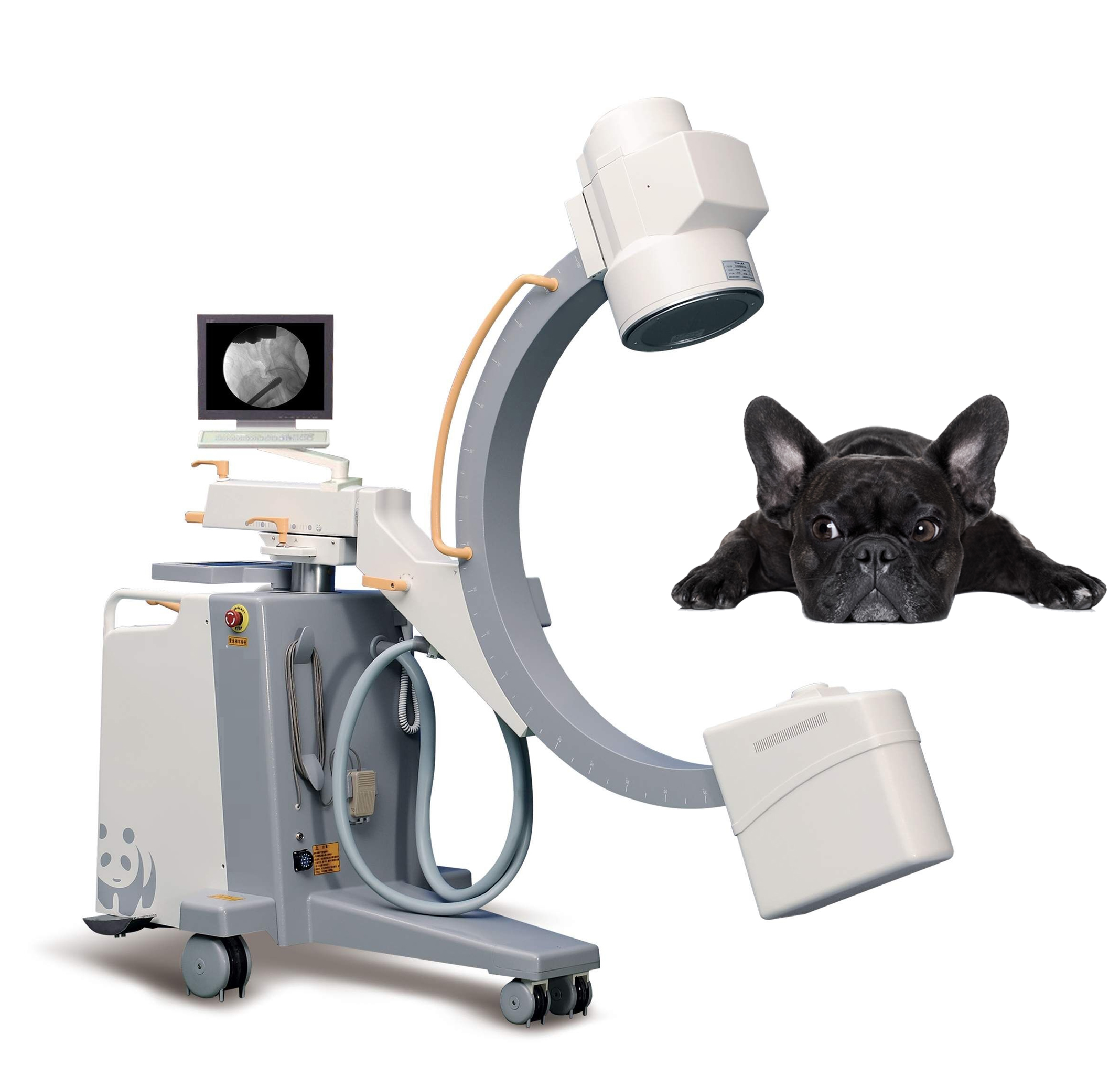 Veterinary Medical Equipment Vet High Frequency Mobile Digital Radiology C-arm X-ray System machine