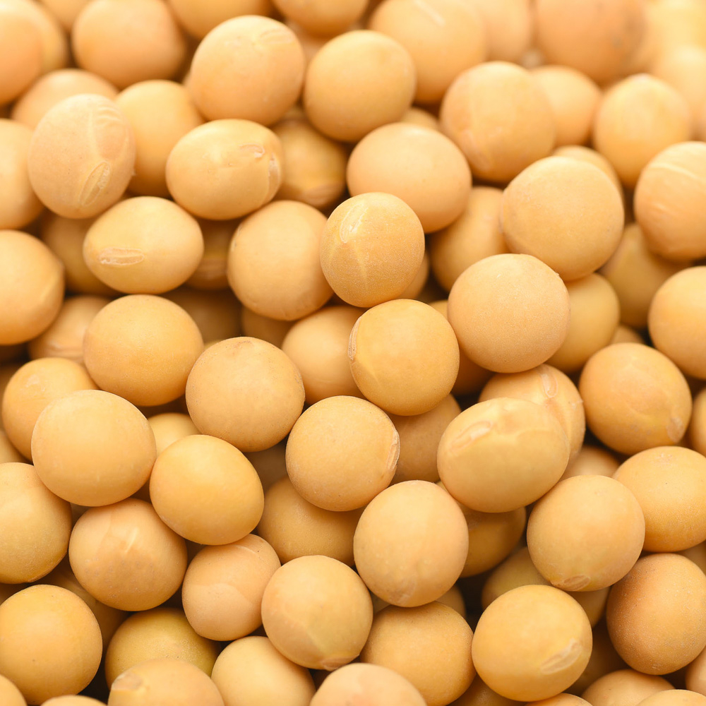 Good Quality Soybeans Wholesale Vacuum Packing Conventional Natural Soya Beans Soybean