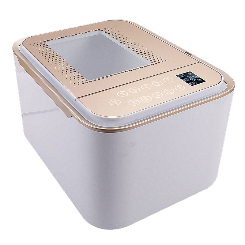 Hot Sale High Quality Household Fruit and Vegetable Detoxification Machine