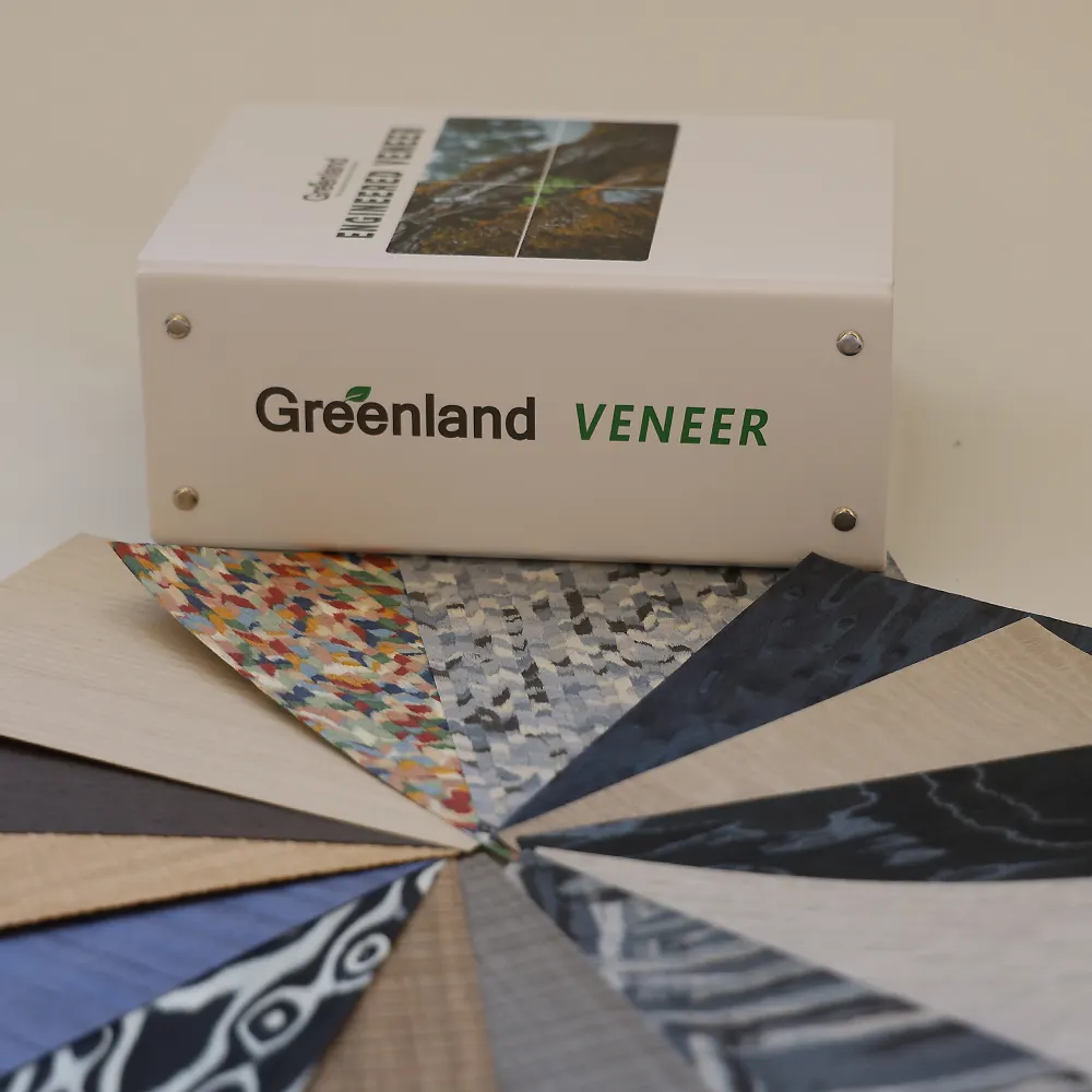 Engineered wood veneer and dyed veneer sample book 200 hundreds options