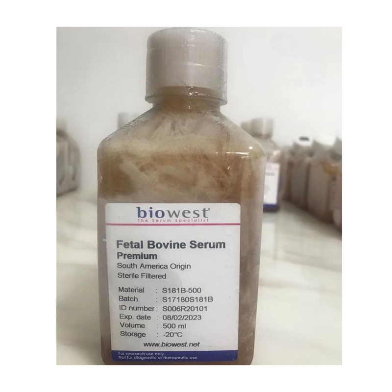 Сыворотка для плода бычьего образца BIOWEST (S006R20101), сыворотка для плода бычьего образца из Бразилии