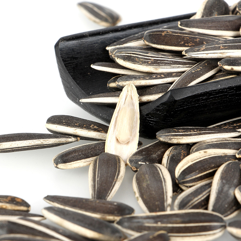 Hot Sale China Raw Sunflower Seeds Long Shape 601