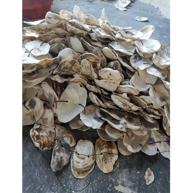 2020 Wholesale Oyster Shell Powder Discount Price