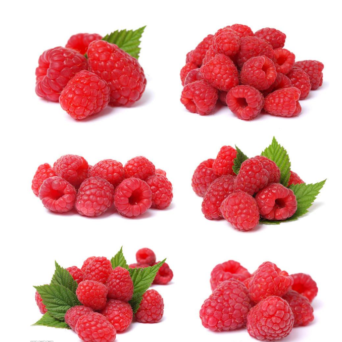 Pure Top quality Rubus idaeus seeds Plant seed for growing chinese medicinal seed