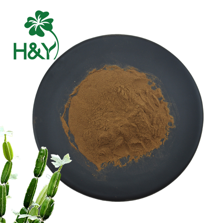 High quality cissus extract cissus extract powder cissus quadrangularis p.e