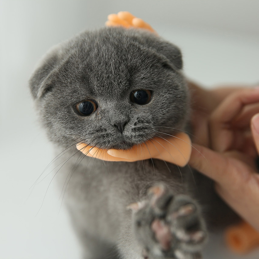 Unique Pets Toys Wholesale Cats Teasers Bite Resistant Dogs Toys Cats Playing Props