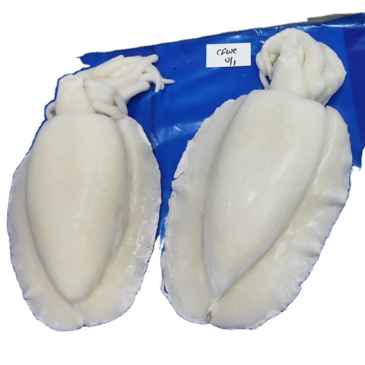 FROZEN CUTTLEFISH CLEANED IQF