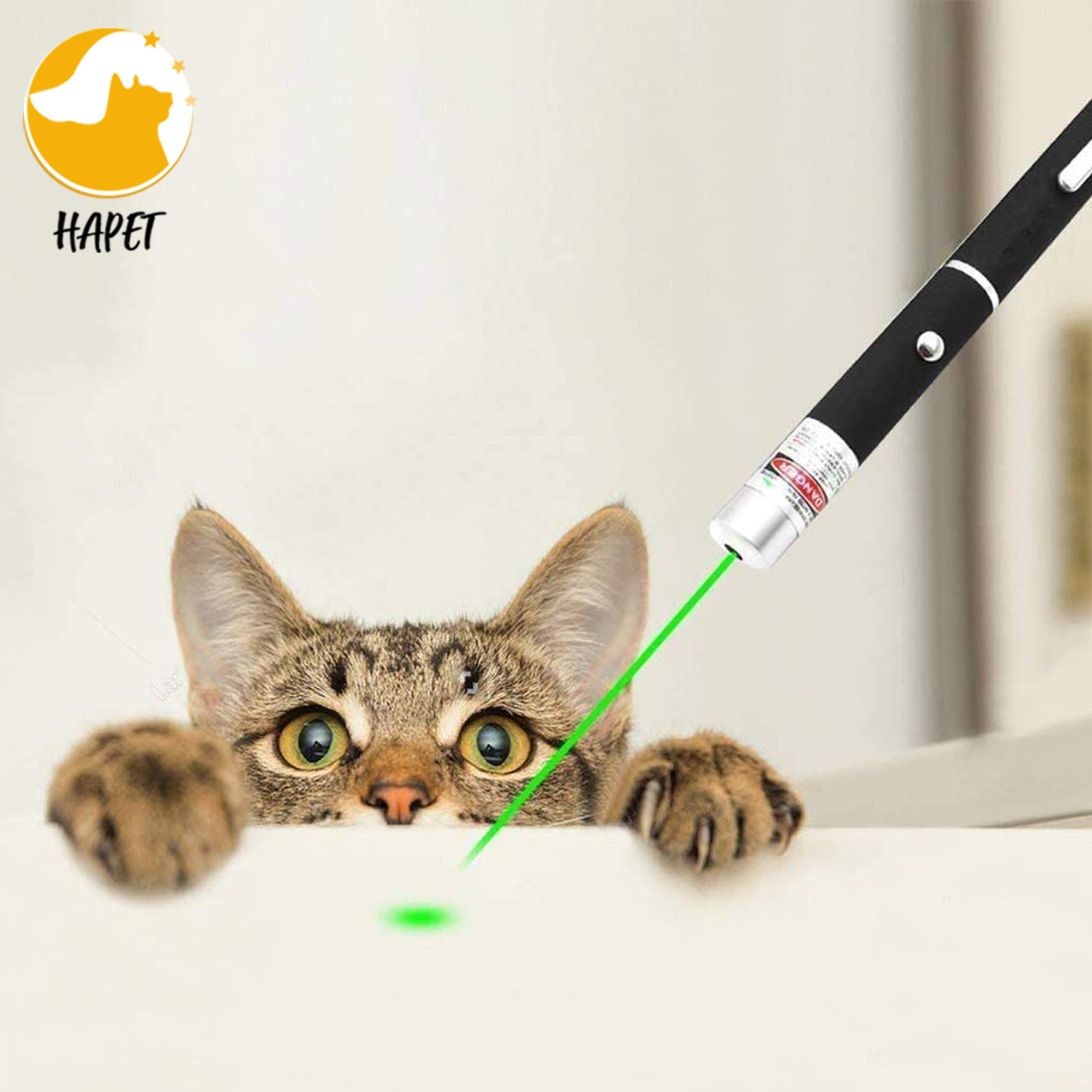 Laser For Cat With red light 5 Patterns UV Light White Flashlight Sit And Lie Down And Tease The Cat