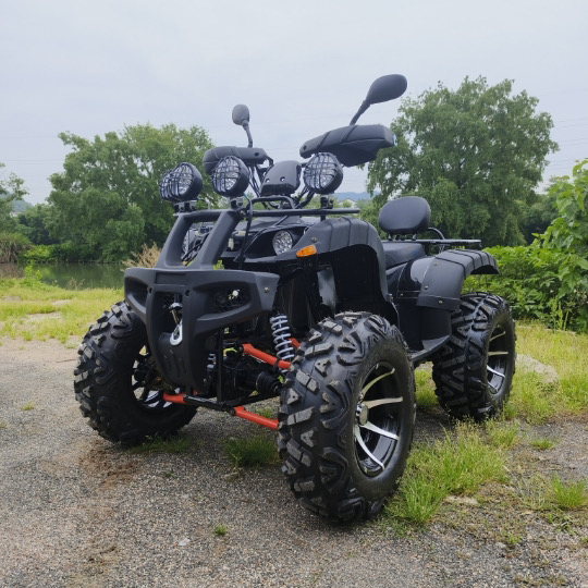 5000 Вт ATV Электрический 4WD пляжный багги вездеход внедорожный мотоцикл