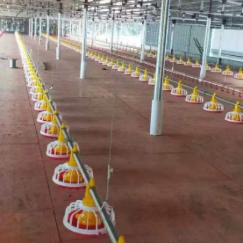 complete chicken house /shed farming equipments for breeder and broiler