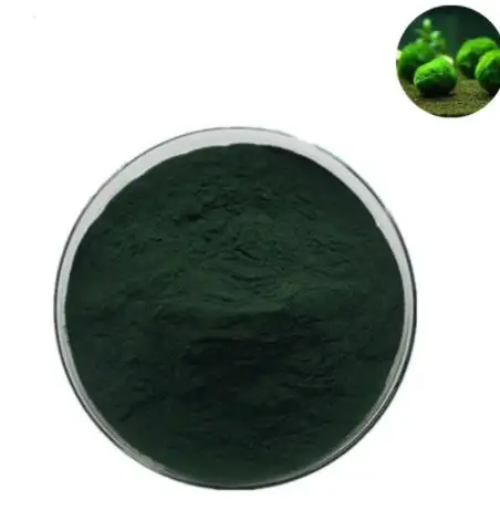 Natural water soluble organic chlorella powder in bulk 60% protien