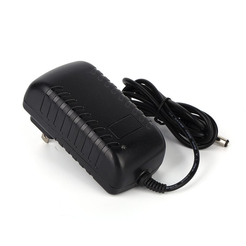 24W 12V 1A 2A Lead Acid 24V Battery Charger with UL CE FCC RoHS SAA CB C-tick PSE