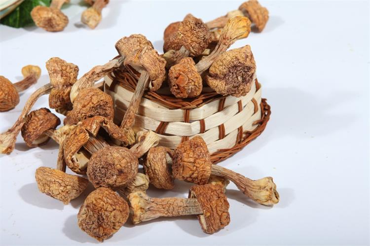 Лучшая цена, применяется в пищевых продуктах, органический порошок Agaricus Blazei, экстракт